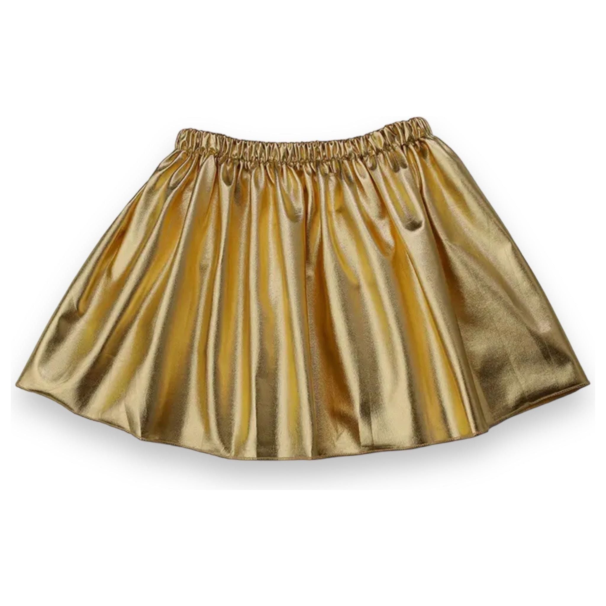 Metallic Skirt